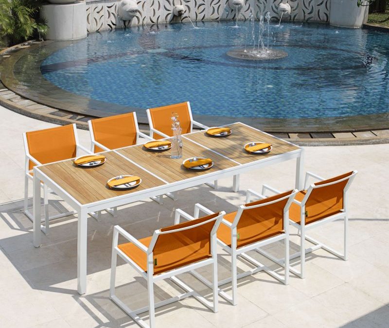 ALLUX Dining Table & Allux Carver Chair