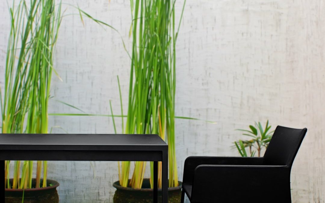 ZUDU DINING SET