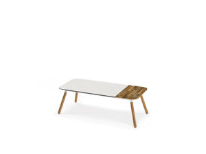 DAISY Chat Table Rectangular (Teak Legs)
