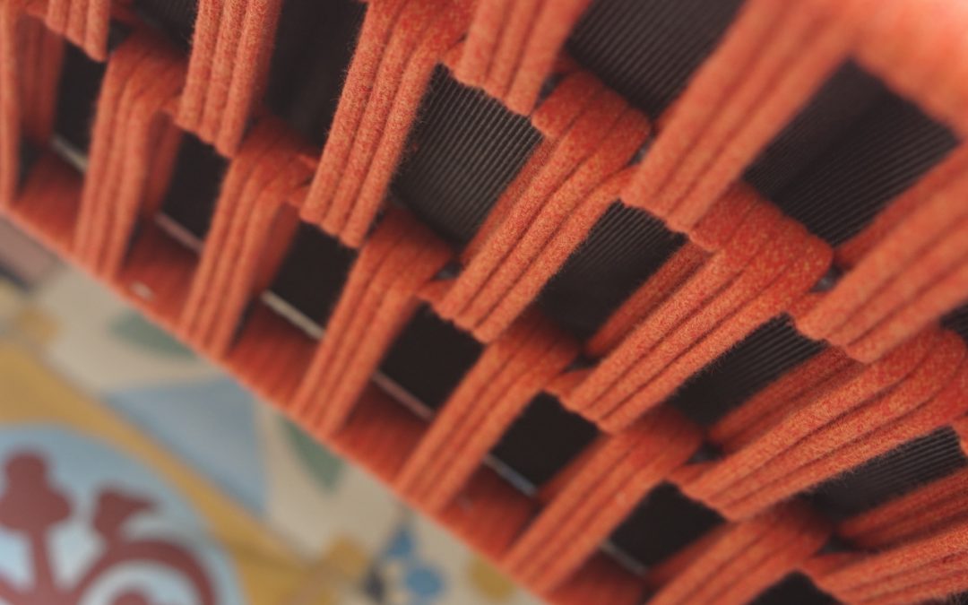 DAISY RAE detail