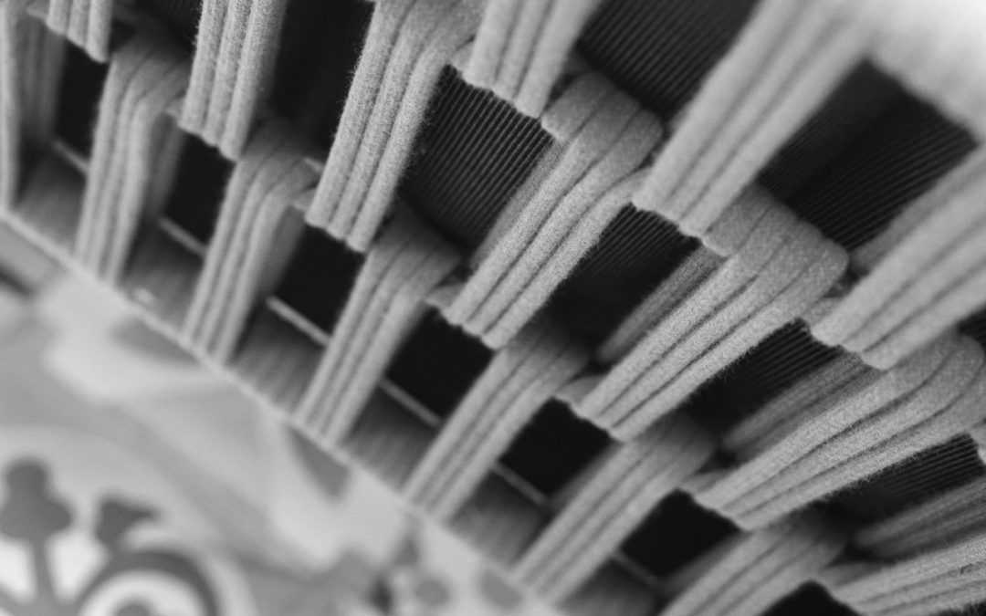 DAISY RAE detail (c)