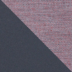 CA3