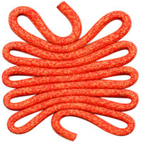 Rope Coral