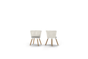 DAISY Dining Chairs